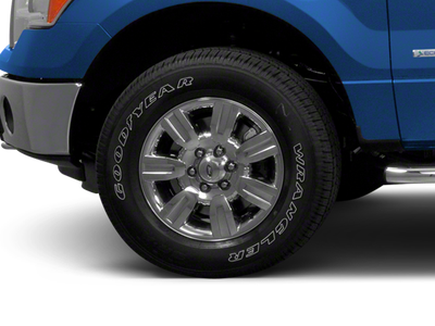 2010 Ford F-150 Platinum