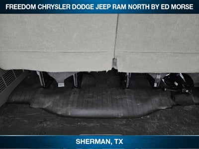 2023 Chevrolet Express Passenger LS